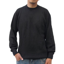 Pullover mit rundem Ausschnitt - Alpakawolle